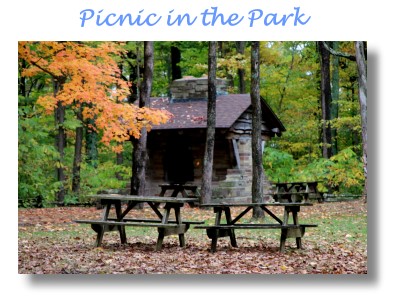 Nashville Indiana picnic